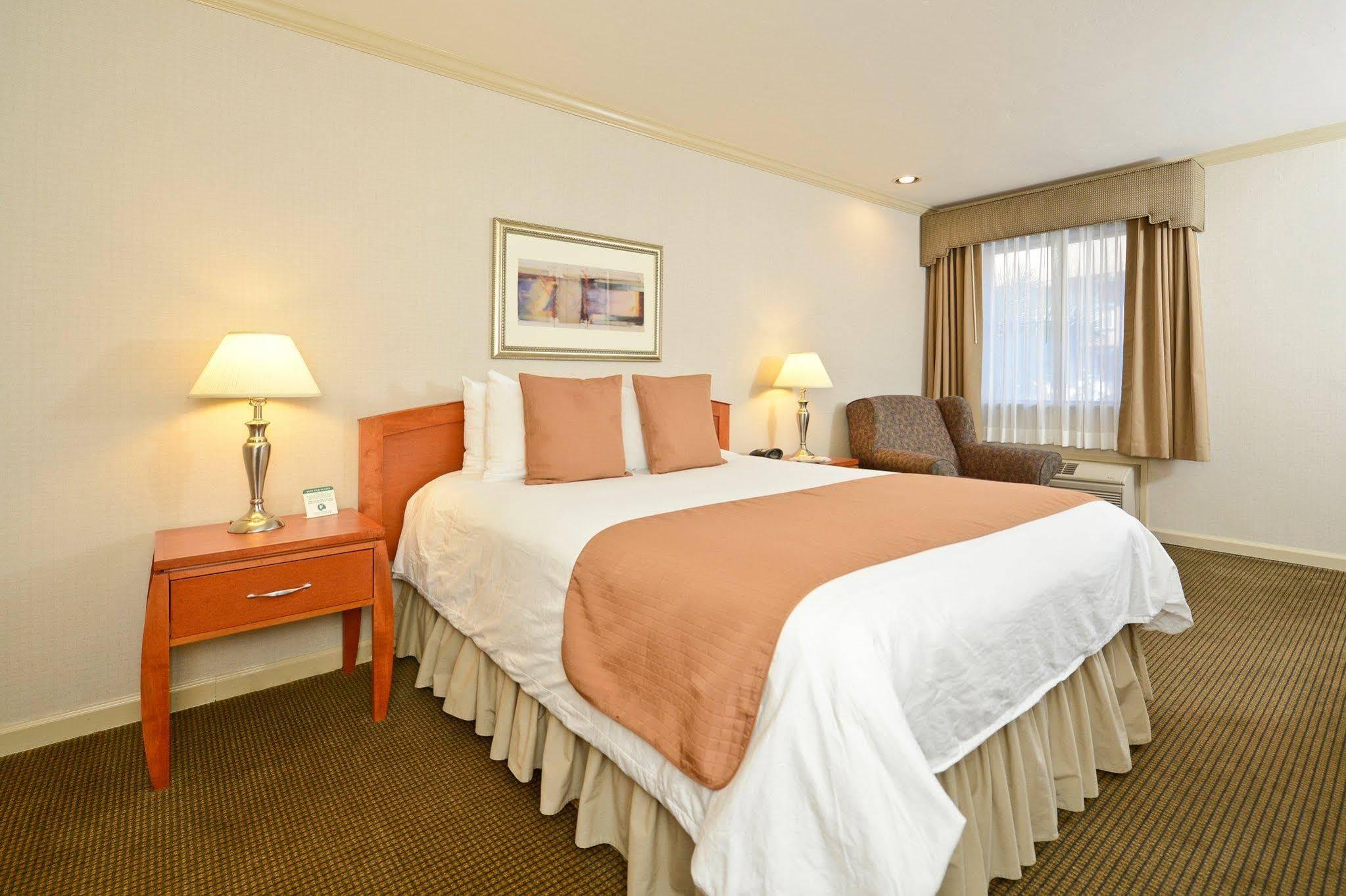 Surestay Plus Hotel By Best Western Маунтін-В'ю Номер фото